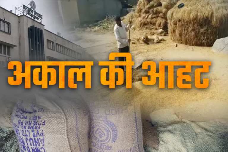 possibility of shortage of food grains due to drought in Jharkhand