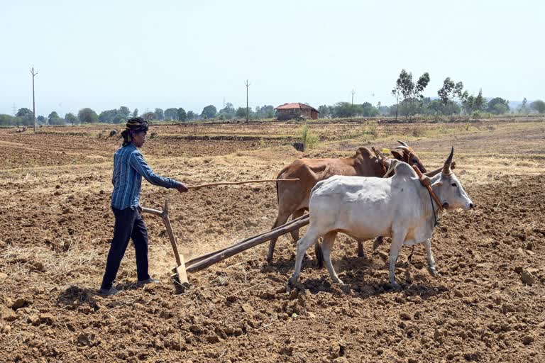 કુદરતી આફતો સામે ખેડૂતોને રૂ.6,624 કરોડની પાક નુકસાન સહાય અપાઈ