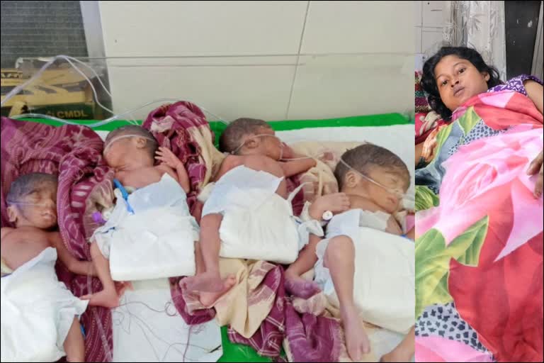 woman-gives-birth-to-quadruplets-in-odisha