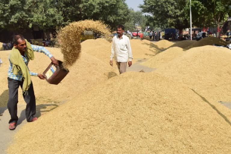 मंडी व्यवस्था लागू करने पर विशेषज्ञों की राय