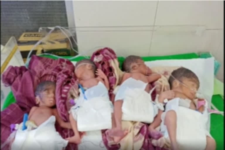 Odisha woman gives birth to quadruplets
