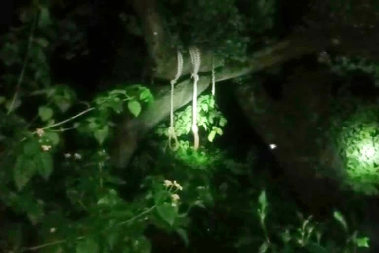 Bodies of a couple who eloped found hanging from a tree