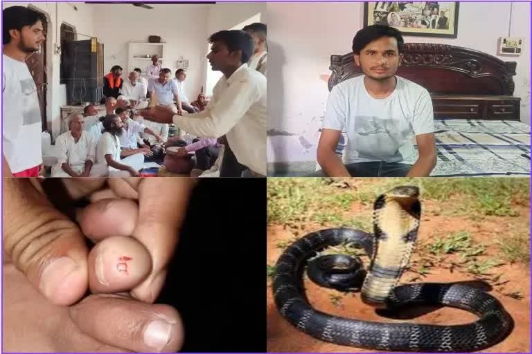 SNAKE BITE AGRA MAN FOR EIGHT TIME IN LAST 15 DAYS