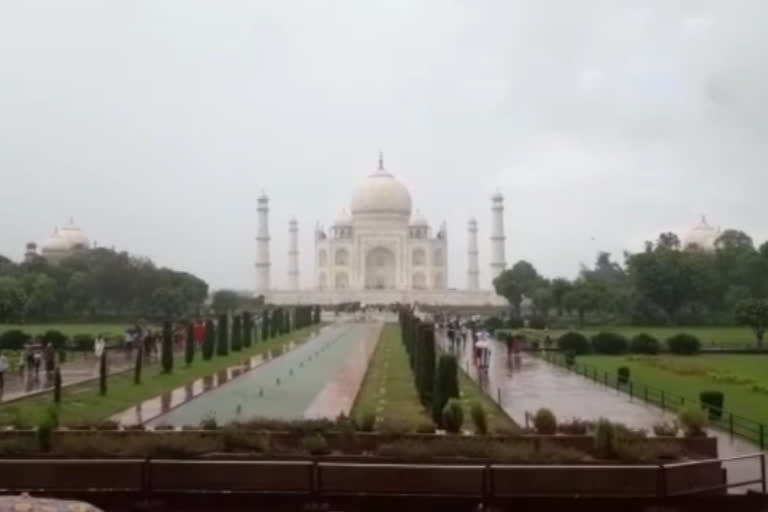 West Bengal tourist bitten by monkeys at Taj Mahal