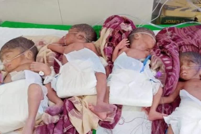 Odisha woman gives birth to quadruplets