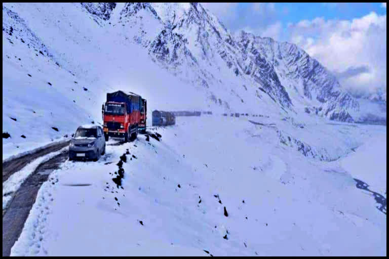 Tourist reached manali after snowfall