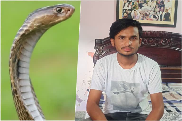 agra man snake bite news