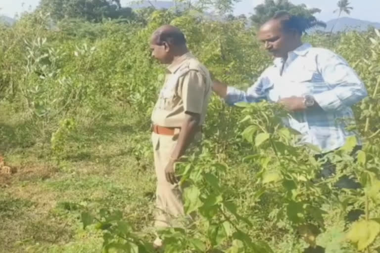 திருவண்ணாமலை மாவட்டம் செங்கம் அரசு மருத்துவமனை பின்புறம் அடையாளம் தெரியாத பெண் எலும்புக்கூடு