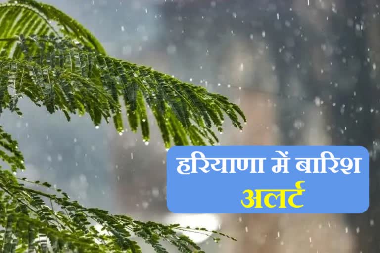 Rain In Haryana