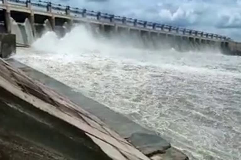 MP Rivers Sindh and Betwa river in spate due heavy rain