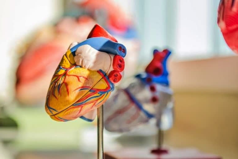 Indian-origin researchers developed technology to diagnose patients with heart failure