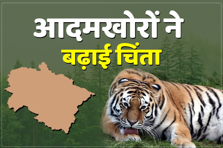 Uttarakhand Forest Department