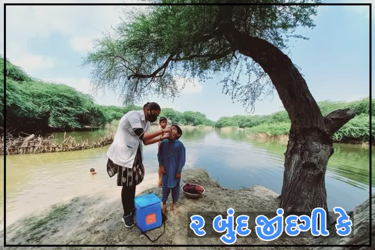 Pulse Polio Campaign in Kutch Asha Sisters Polio Dose System