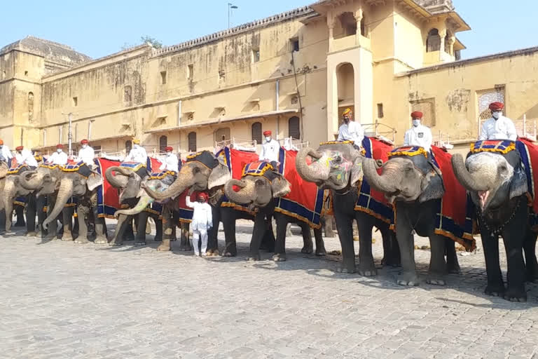 No elephant ride from 25th September to 6 October in Amer Fort due to Navratri in Sheela Mata