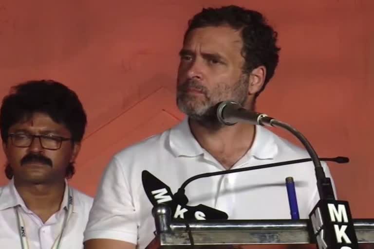 India will progress only when women safe  Rahul Gandhi  രാഹുല്‍ ഗാന്ധി  രാഹുല്‍ ഗാന്ധിയുടെ പരാമര്‍ശം  മൊറാദാബാദ്  പൗരി  ന്യൂഡല്‍ഹി  NEW DELHI  New delhi news updates  latest news updates in delhi  news updates in kerala