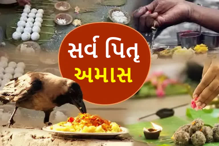 સર્વ પિતૃ અમાસના દિવસે કરો આ પુજા, ઘરમાં આવશે સુખ-સમૃદ્ધિ