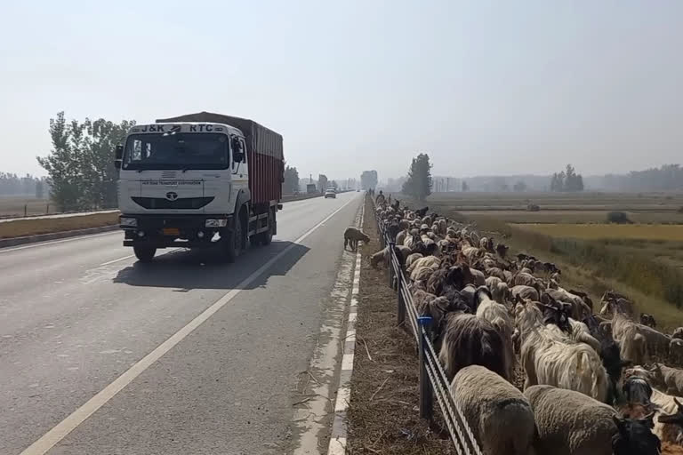 Bakerwal Movement on Highway Banned