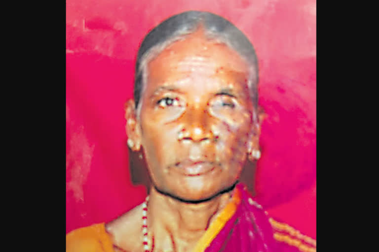A bedridden elderly woman was allegedly murdered by a troop of monkeys in Telangana's Suryapet on Sunday.