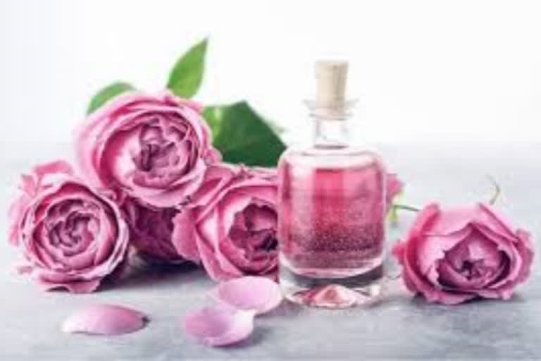 Rose Water For Hair