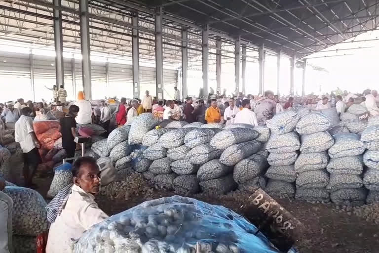 Garlic farmers of Hadoti