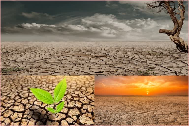 Global Climate Change