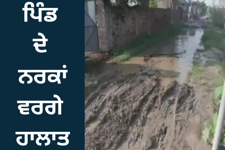 Panchayat of AAP in the village, but the conditions of the village are like hell
