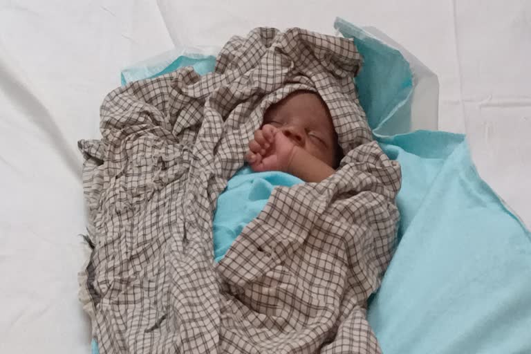 Newborn baby girl found in millet field