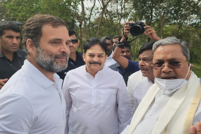 Congress Bharat Jodo Yatra: Rahul Gandhi enters Karnataka through Bandipur