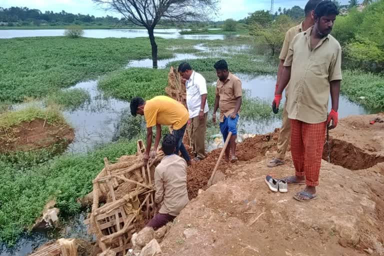 ನಿಮಜ್ಜನಗೊಂಡ ಗಣೇಶ ಮೂರ್ತಿಗಳ ವಿಲೇವಾರಿ ಮಾಡಿದ ನಗರಸಭೆ