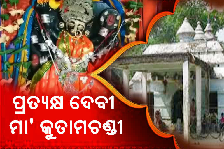 ପ୍ରସିଦ୍ଧ ଶକ୍ତିପୀଠ ମା' କୁତାମଚଣ୍ଡୀ ମନ୍ଦିର, ପ୍ରତିଦିନ ଲାଗି ହୁଏ ଆମିଷ ଭୋଗ