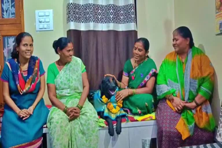 vijayapura-baby-shower-program-for-dog