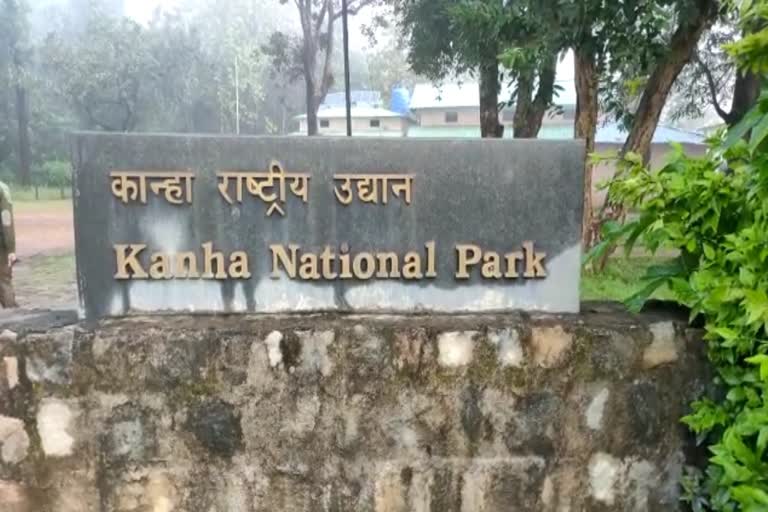 kanha national park