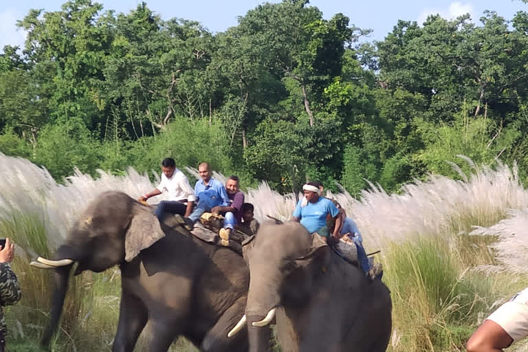 Valmiki Tiger Reserve in Bihar