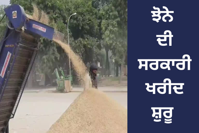 Government procurement of paddy has started in Punjab from today, administration has claimed that the arrangement is complete