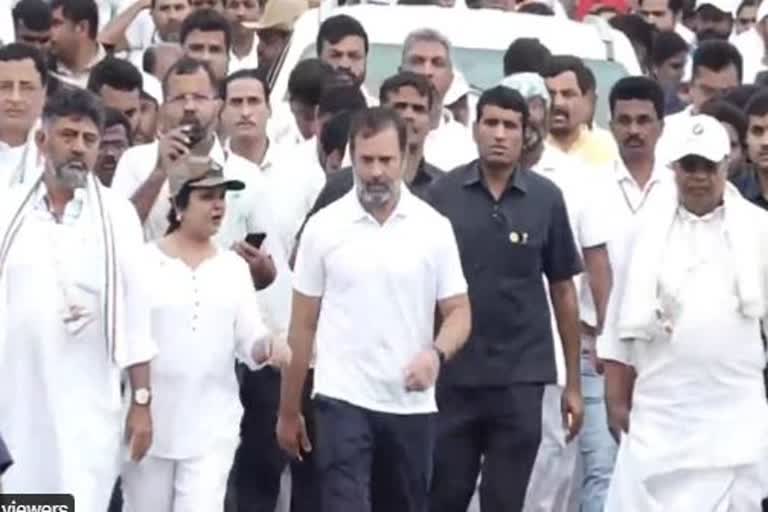 Rain disrupts 24th day of Rahul Gandhi's 'Bharat Jodo Yatra'