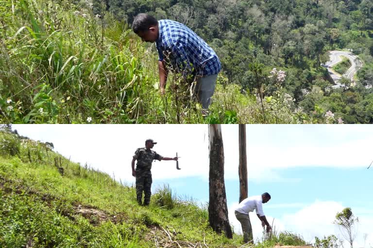 ETV Bharat Impact  MATHIKETAN CHOLA REVENUE LAND  REVENUE LAND eNCROACHMENT  revenue department idukki  revenue department against eNCROACHMENT  ETV Bharat Impact REVENUE LAND eNCROACHMENT  മതികെട്ടാന്‍ ചോല  റവന്യൂ ഭൂമി കയ്യേറ്റം  കയ്യേറ്റത്തിനെതിരെ നടപടി  റവന്യൂ വകുപ്പ്  തോണ്ടിമല റവന്യൂ ഭൂമി കയ്യേറ്റം