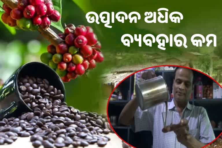 coffee price high in koraput