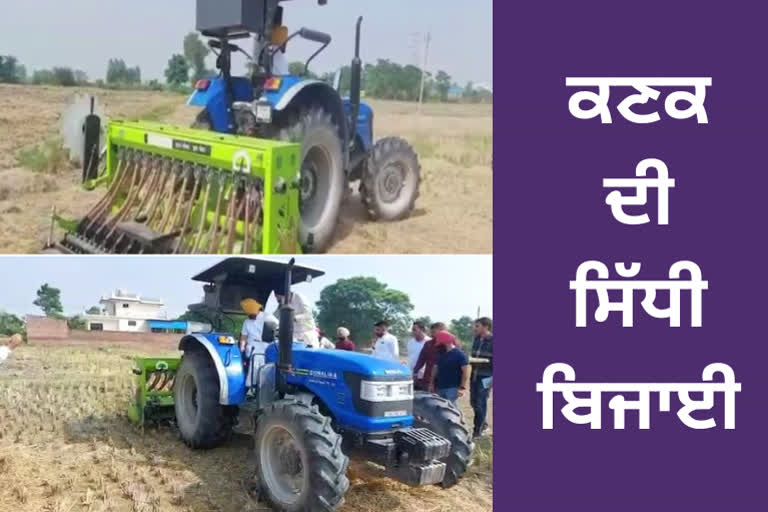 sowing of wheat started in ludhiana