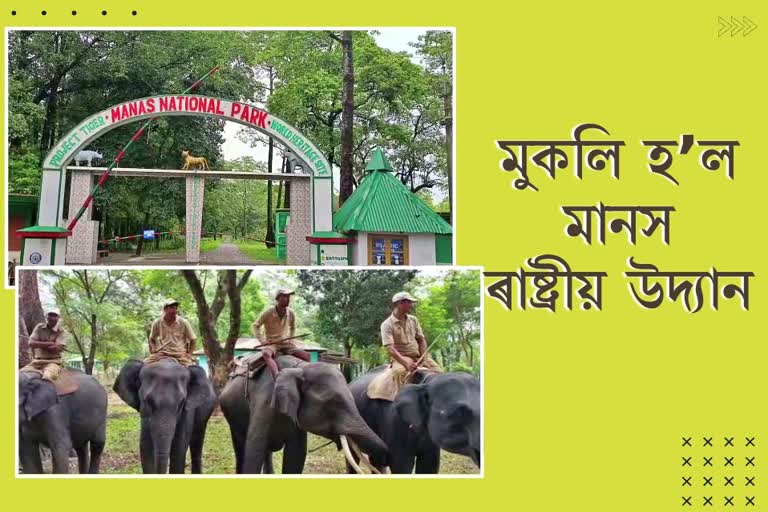 Manas National Park opened for tourists
