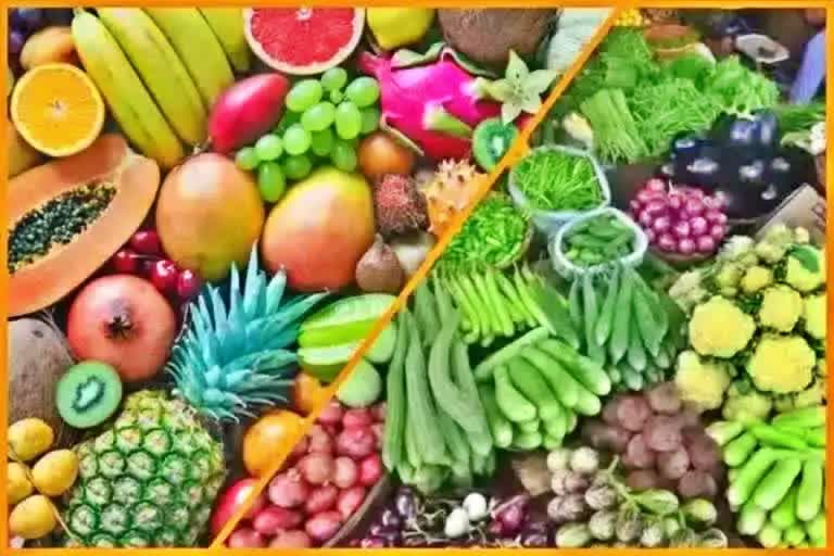 fruits and vegetables price in haryana