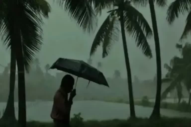 rain  Kerala rain  Kerala rain latest update  Rain in kerala for three days  Rain in kerala  bay of bangal  മഴ  മഴയ്‌ക്ക് സാധ്യത  കേരളത്തില്‍ മഴ  ഇന്നത്തെ കാലാവസ്ഥ  ബംഗാള്‍ ഉള്‍ക്കടലില്‍ ന്യൂനമര്‍ദം  ന്യൂനമര്‍ദം  സംസ്ഥാനത്ത് മൂന്ന് ദിവസം മഴ  കാലാവസ്ഥ നിരീക്ഷണ കേന്ദ്രത്തിന്‍റെ മുന്നറിയിപ്പ്  കാലാവസ്ഥ  തിരുവനന്തപുരം  യെല്ലോ അലര്‍ട്ട്  ആലപ്പുഴ  പാലക്കാട്