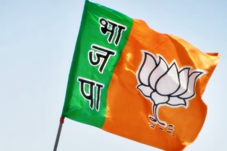 BJP Scheduled Caste Morcha connectivity campaign