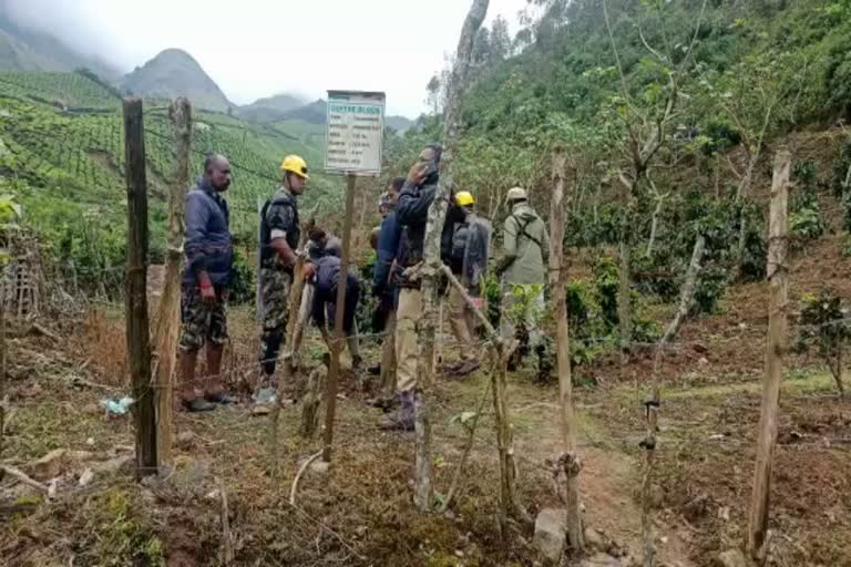 munnar naimakkadu  ten cow died tiger attack  tiger attack in munnar naimakkadu  forest department start attempt to catch tiger  forest department  latest news in idukki  latest news today  മൂന്നാർ നയ്‌മക്കാടിൽ കടുവയുടെ ആക്രമണം  പത്ത് കന്നുകാലികള്‍ ചത്തു  നിരീക്ഷണം ശക്തമാക്കി വനം വകുപ്പ്  വനം വകുപ്പ്  ഇടുക്കി മൂന്നാർ നയ്‌മക്കാടിൽ ഈസ്റ് ഡിവിഷനിൽ  ഇടുക്കി കടുവയുടെ ആക്രമണം  tiger attack in idukki  ഇടുക്കി ഏറ്റവും പുതിയ വാര്‍ത്ത  ഇന്നത്തെ പ്രധാന വാര്‍ത്ത