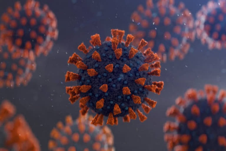 Coronavirus formation modelled for first time, may lead to effective drugs