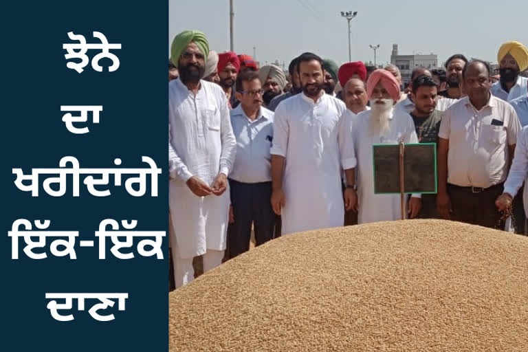 Minister Meet Hare started procurement of paddy in Barnala, promised to provide all facilities to the farmers.
