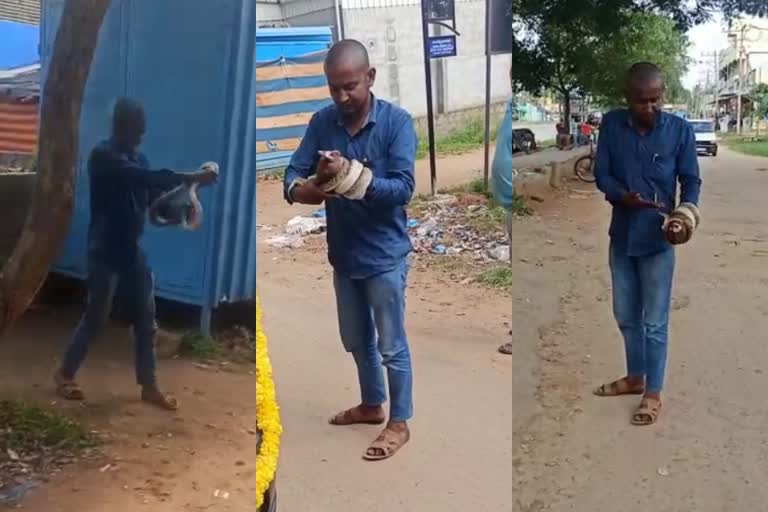 Drunken man wrapped cobra around his hand  പാമ്പിനെ പിടികൂടി മദ്യപാനി  മൂർഖൻ പാമ്പ്  ദേവരായനദുർഗ വനം  മൂർഖനേയും കൈയിൽ ചുറ്റി യുവാവ്  കർണാടകയിലെ തുംകുരുവിൽ മൂർഖനുമായി യുവാവ്  കൂറ്റൻ മൂർഖൻ പാമ്പ്  Huge cobra in karnataka