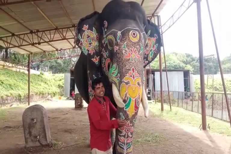 Elephant caretaker kissed Abhimanyu