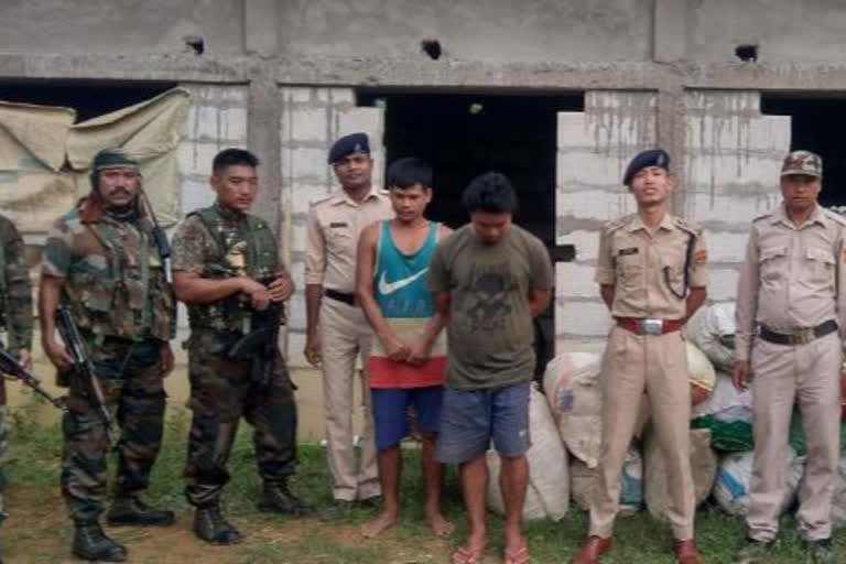 Assam Rifles seized cannabis at Tripura