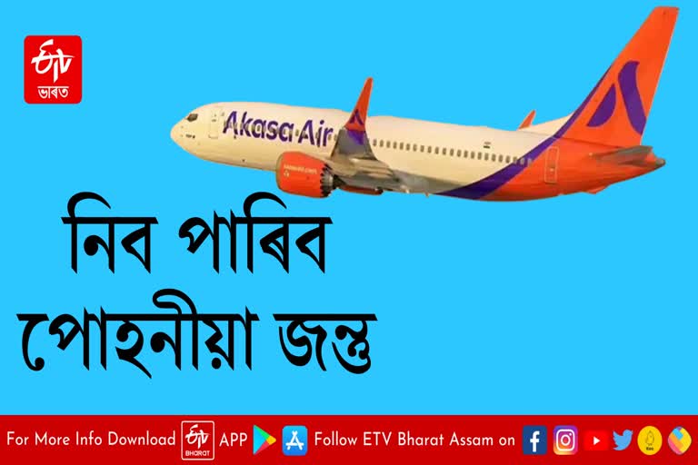 Akasa Air to allow pets on board soon