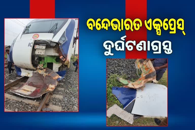 Gandhinagar Mumbai Vande Bharat Express train damaged after hitting a buffalo herd